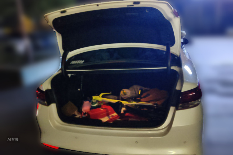Kia K5 2016 car image #21