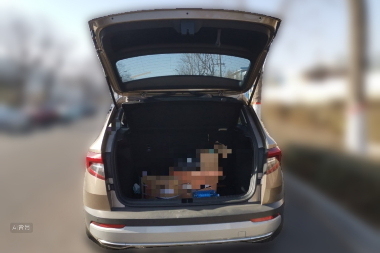 Skoda Karoq 2019 car image #21