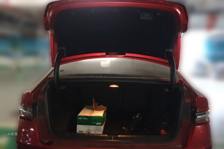 BYD Qin Pro New Energy 2019 #21 BYD Qin Pro New Energy 2019 car image #21