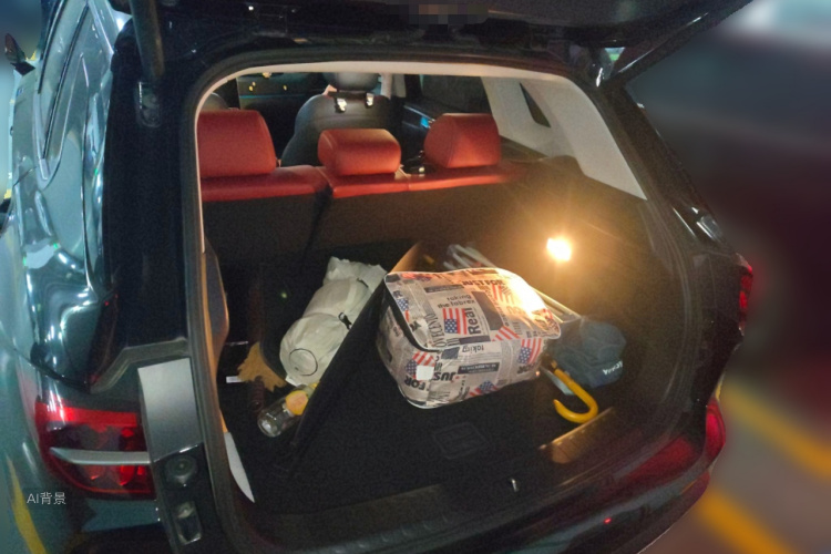 GAC Trumpchi GS4 PLUS 2021 car image #21