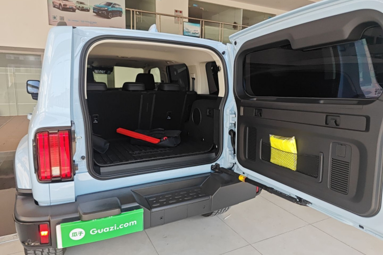 Tank 300 New Energy 2024 car image #21