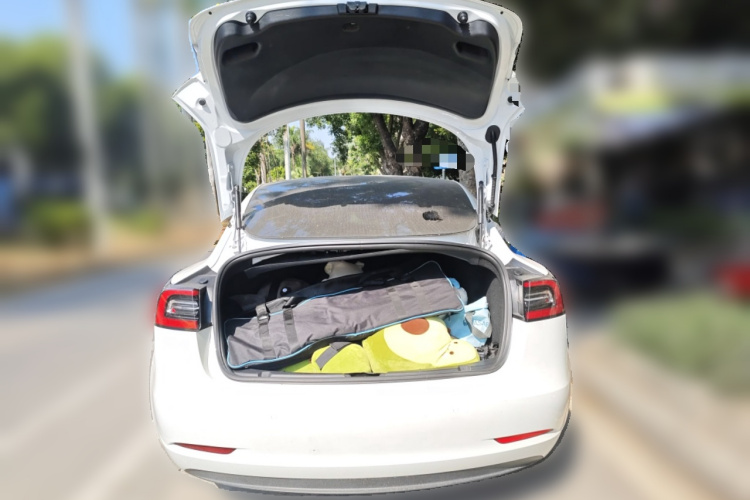 Model 3 2020 car image #21