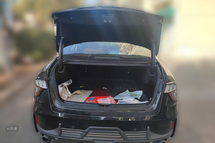 领克 领克03 2019 汽车图片 #21