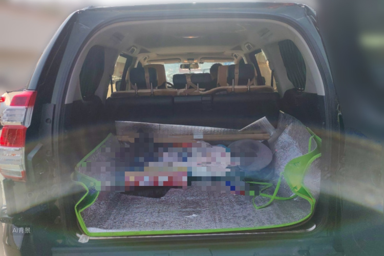 Toyota Land Cruiser Prado 2017 #21 Toyota Land Cruiser Prado 2017 immagine di auto #21