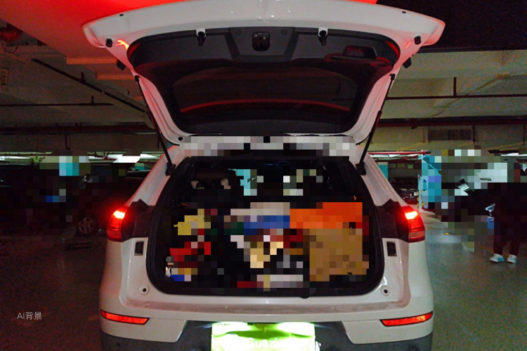 Haval H6 2017 car image #21