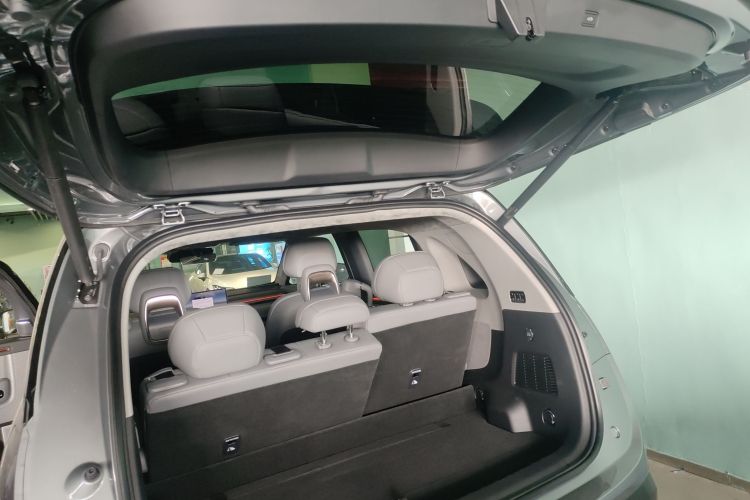 极氪 极氪MIX 2024 汽车图片 #21