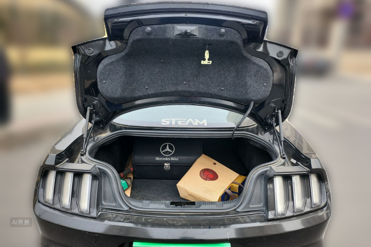 Ford Mustang 2017 car image #21