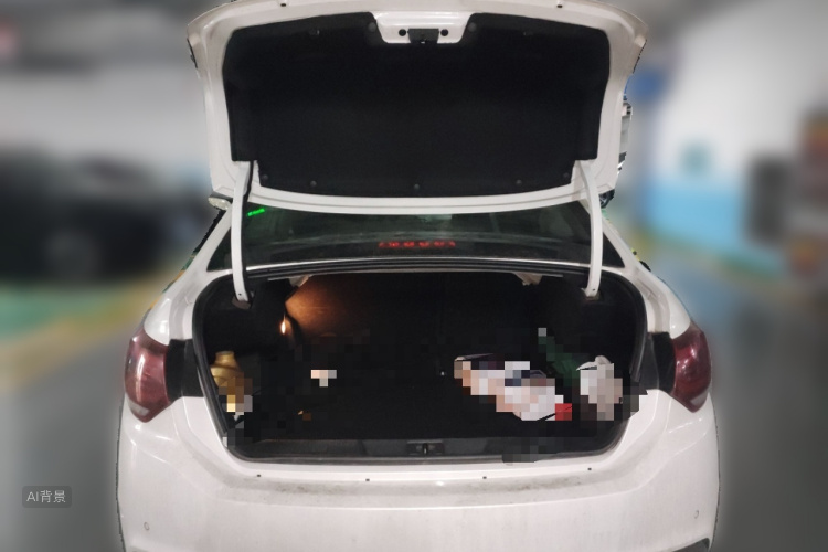 Citroen C4L 2018 immagine di auto #21