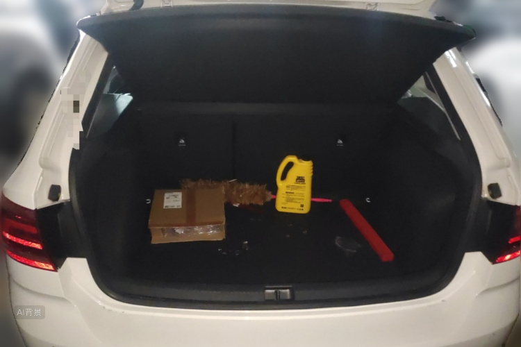 Santana 2015 immagine di auto #21
