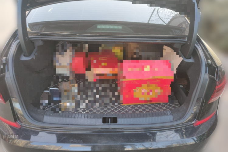 大众 帕萨特新能源 2022 #21 大众 帕萨特新能源 2022 汽车图片 #21