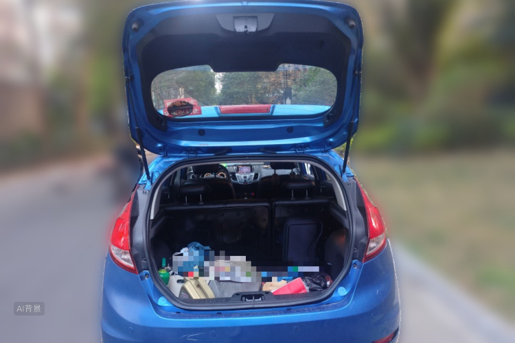 Ford Fiesta 2014 car image #21