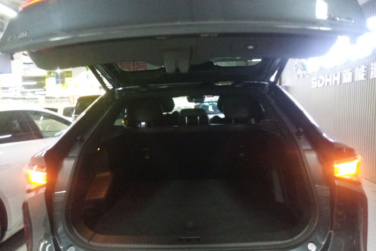 Livan 7 2025 imagen de coche #21