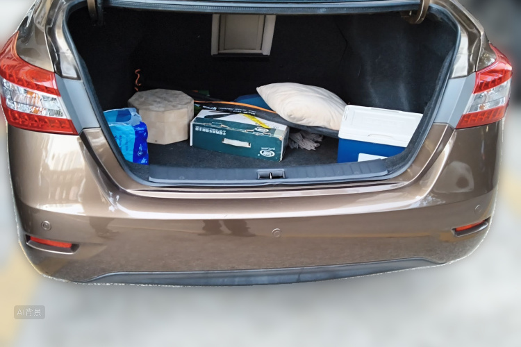 Nissan Sylphy 2014 car image #21