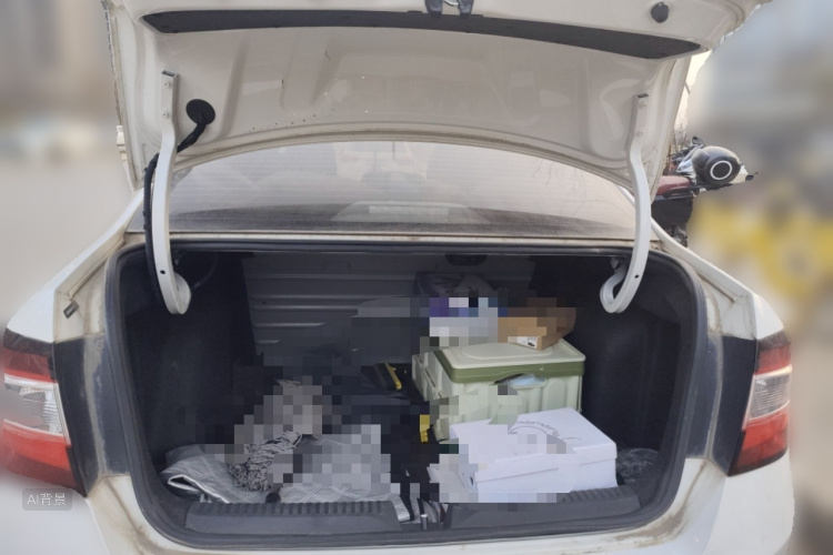 Skoda Rapid 2018 car image #21