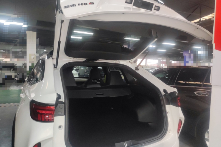 Haval H6S 2022 #21 Haval H6S 2022 immagine di auto #21