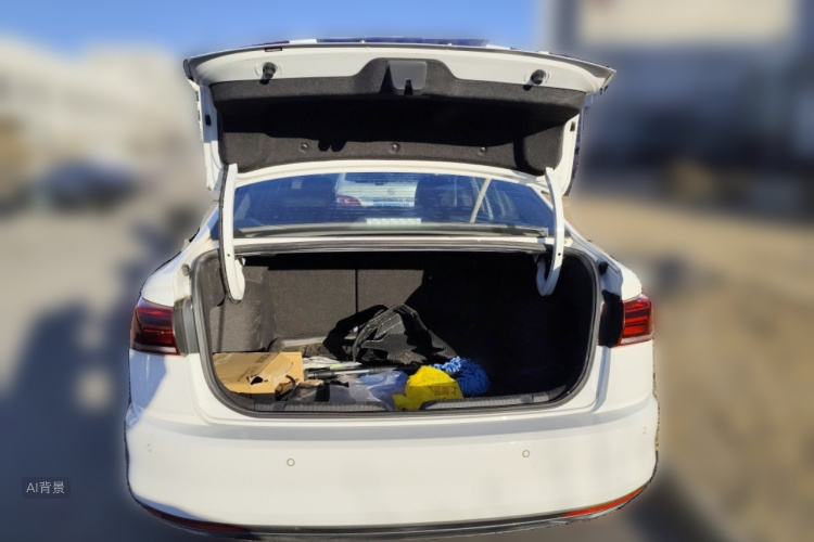 Volkswagen Bora 2019 car image #21