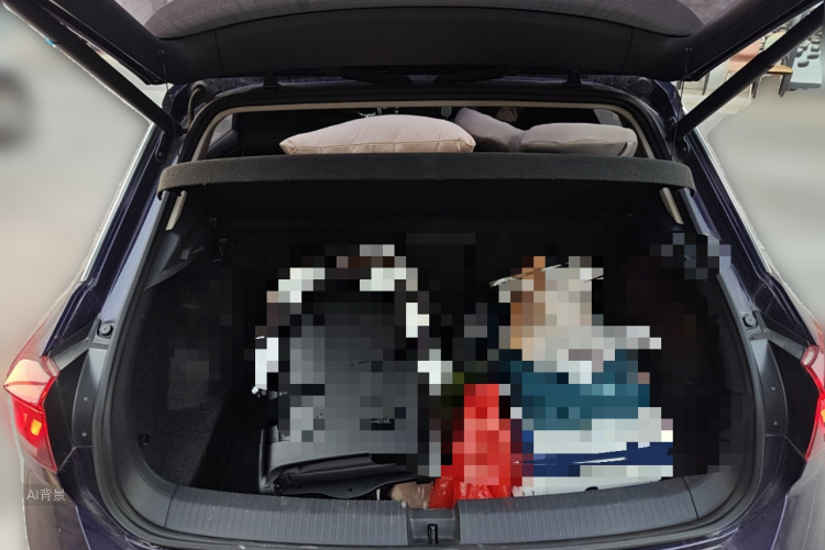Volkswagen T-Roc 2020 car image #21