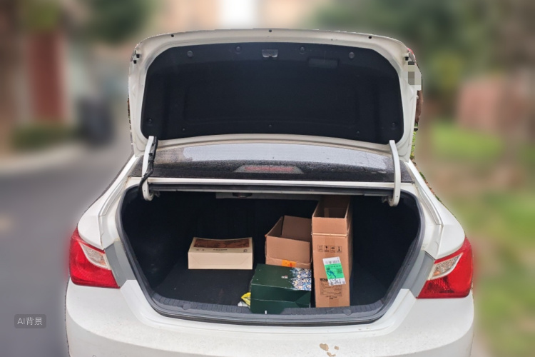 Hyundai Sonata 2016 car image #21