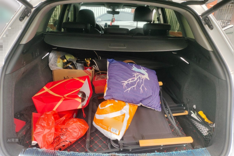 Audi Q5L 2019 car image #21