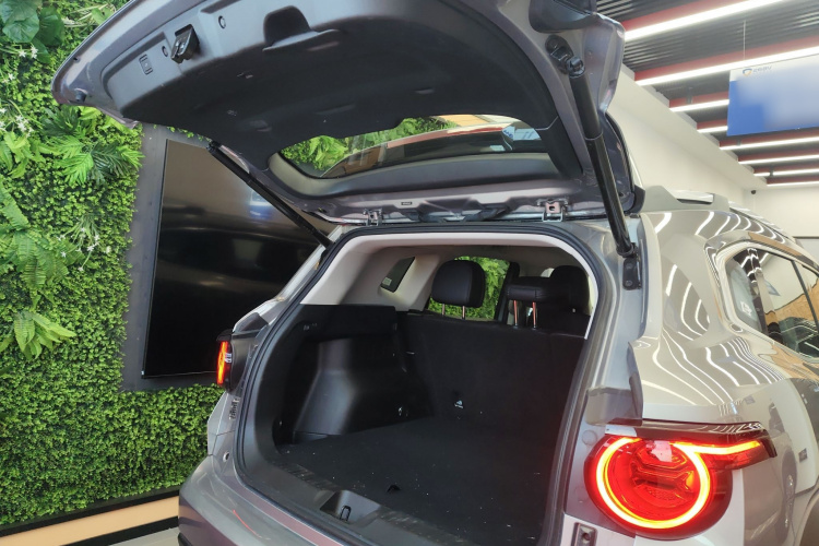 Haval Dargo 2 2025 car image #21