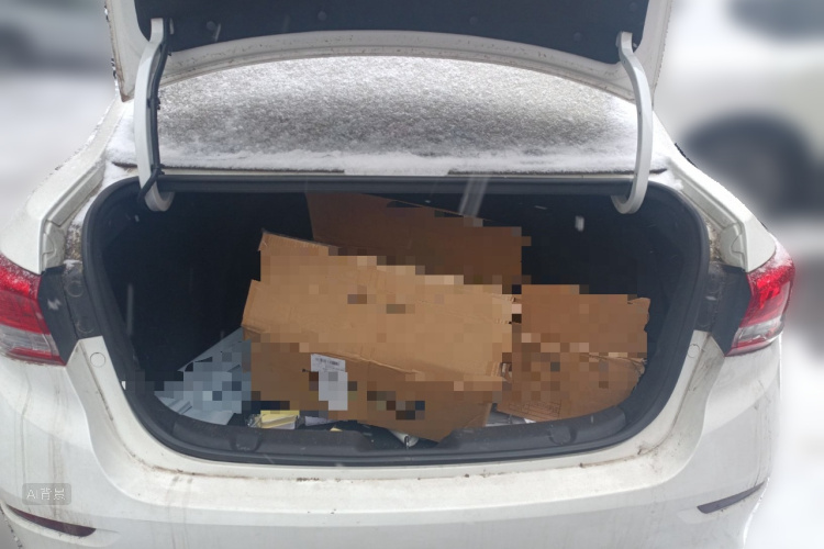 Changan Alsvin 2019 car image #21