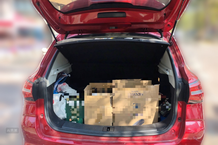 Roewe RX3 2019 изображение автомобиля #21