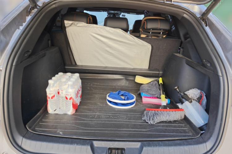 BYD Song Plus New Energy 2023 car image #21