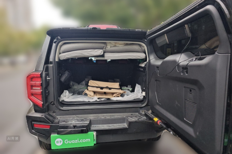 Tank 400 New Energy 2024 car image #21