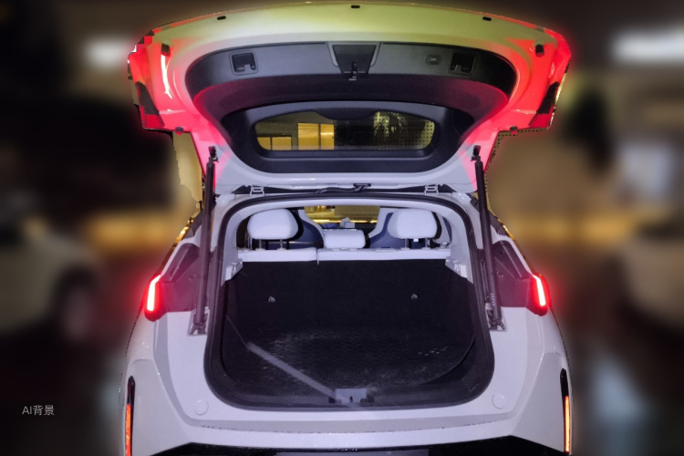 极氪 极氪X 2023 汽车图片 #21