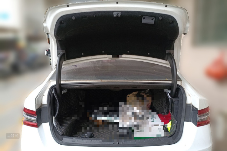 BYD Qin Pro New Energy 2019 #21 BYD Qin Pro New Energy 2019 car image #21