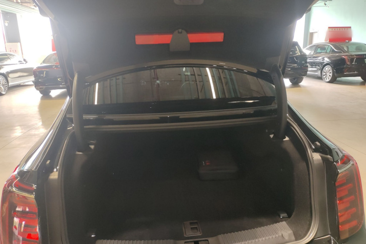 HongQi H9 2025 #21 HongQi H9 2025 car image #21