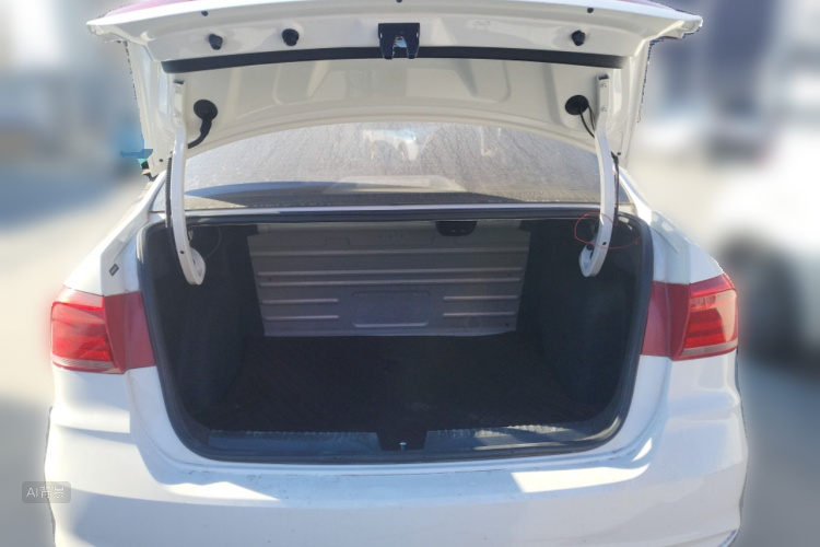 桑塔纳 2019 汽车图片 #21