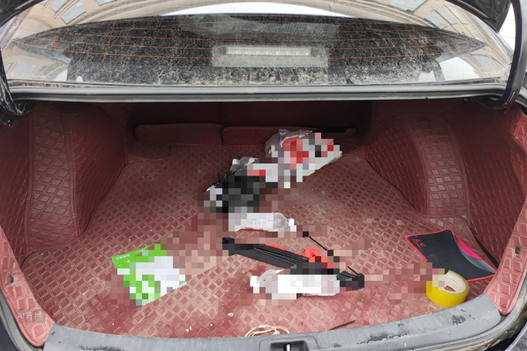 Toyota Allion 2022 immagine di auto #21