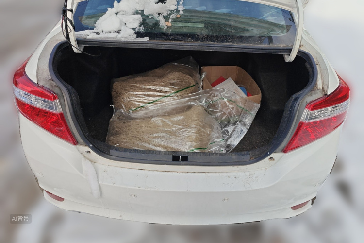Vios 2015 immagine di auto #21