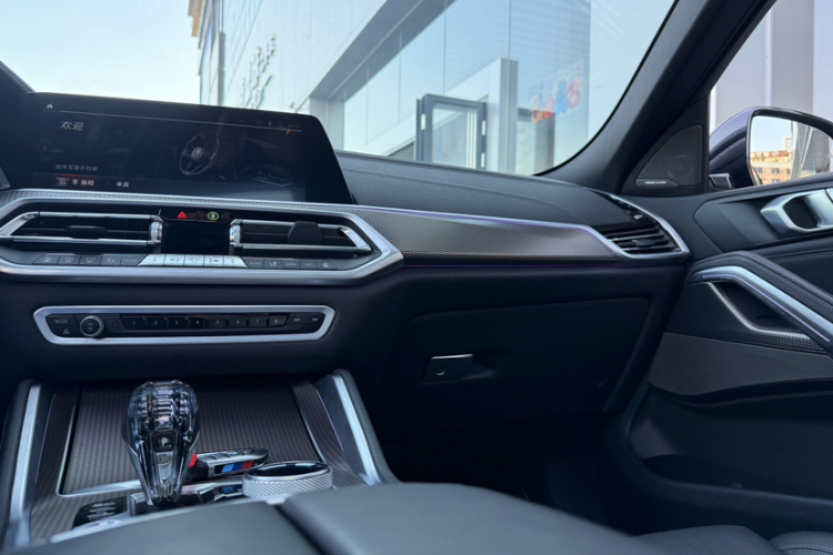 BMW X6 2021 #21 BMW X6 2021 car image #21