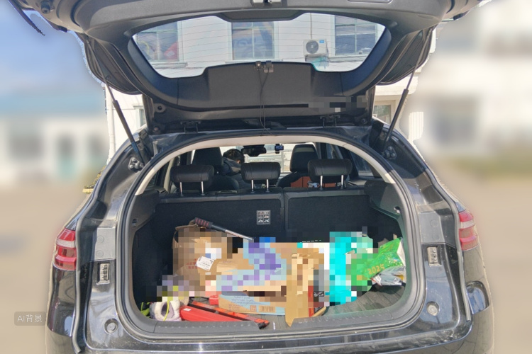 Haval F7 2019 car image #21