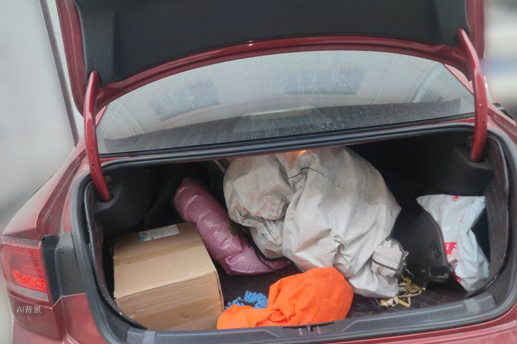 Volkswagen Lamando 2018 immagine di auto #21