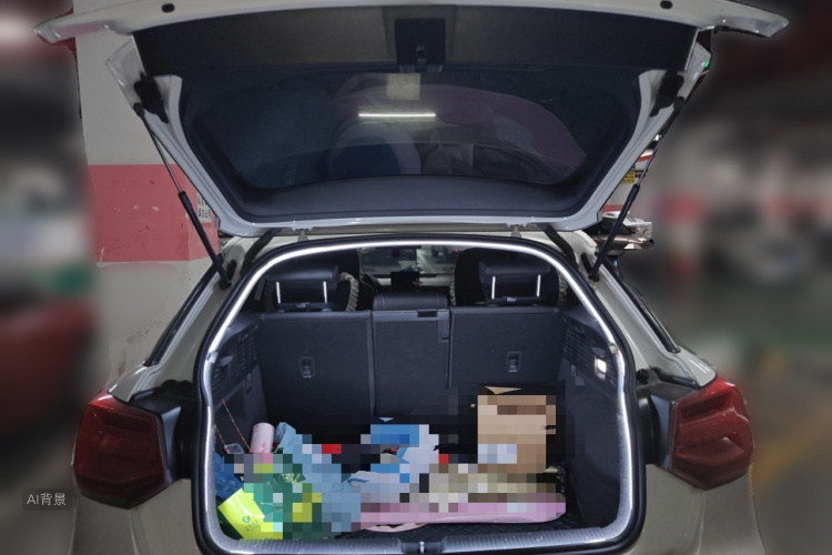 奥迪Q2L 2019 汽车图片 #21