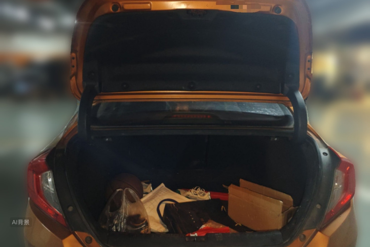 Honda Civic 2017 car image #21