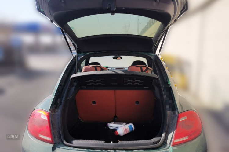 Volkswagen Beetle 2015 immagine di auto #21