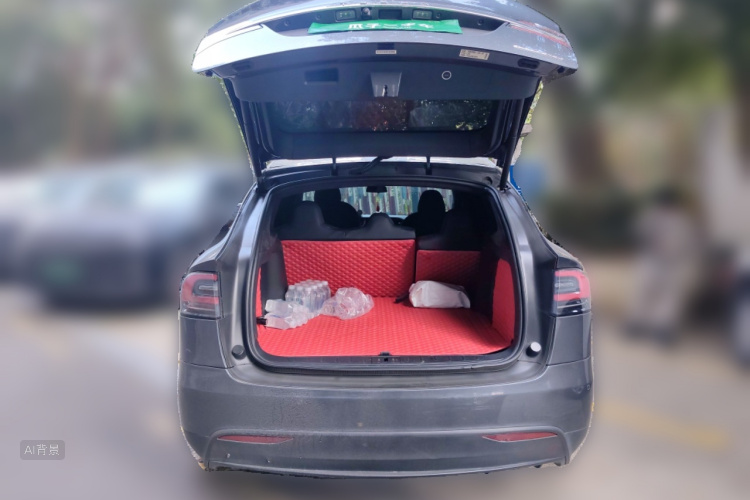 特斯拉 Model X 2019 汽车图片 #21