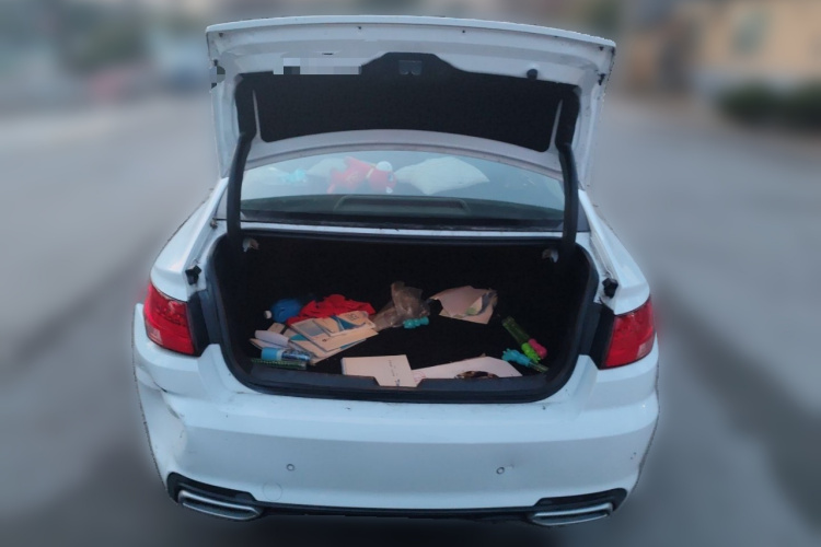 GEELY Emgrand GL 2018 car image #21