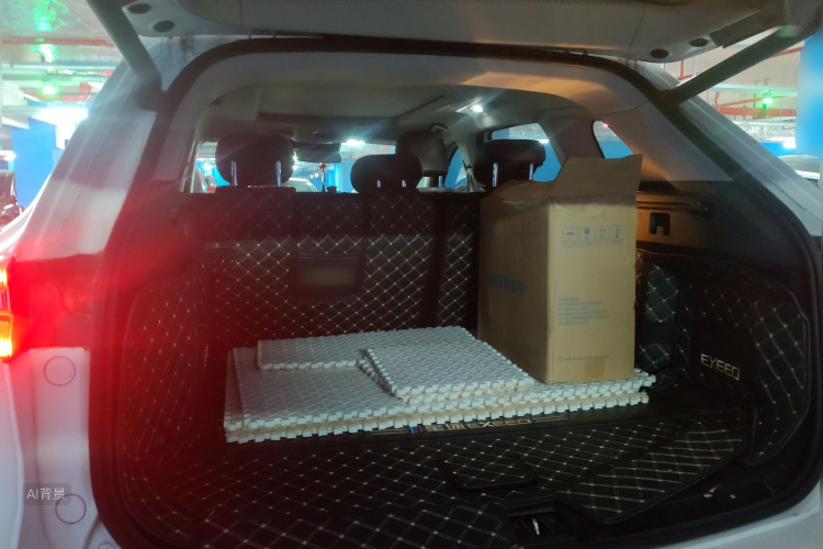 Exceed Lingyun 2021 car image #21