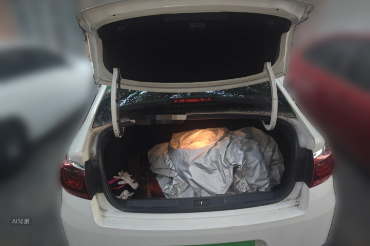 Citroen C4 C-Quatre 2018 immagine di auto #21