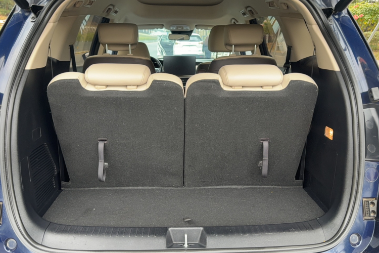 BYD Song MAX New Energy 2022 immagine di auto #21