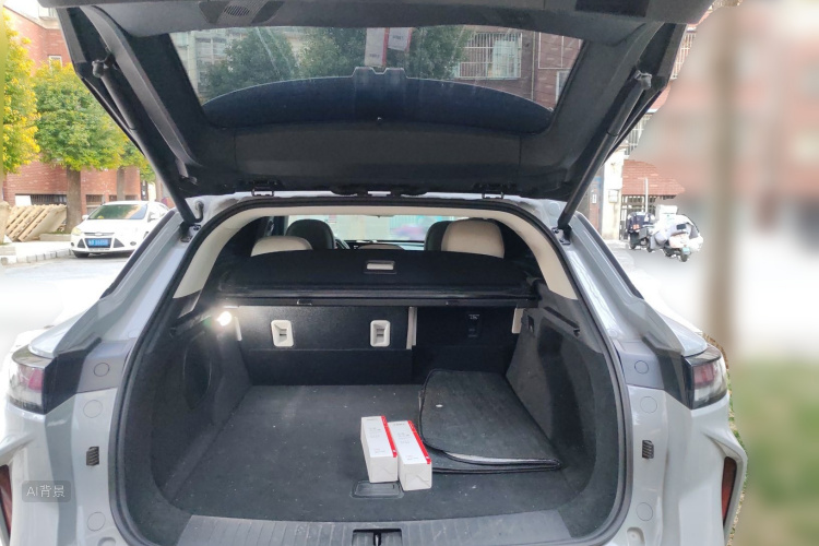 Exceed Yaoguang 2024 car image #21