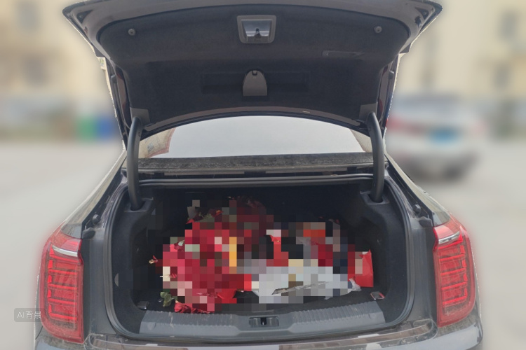 HongQi H9 2021 car image #21