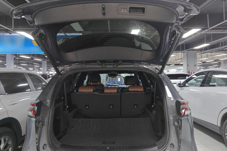 BYD Tang New Energy 2022 car image #21