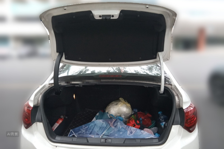 Citroen C4L 2016 car image #21