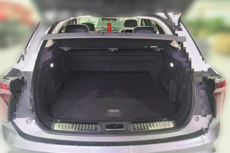 HongQi E-HS9 2023 car image #21